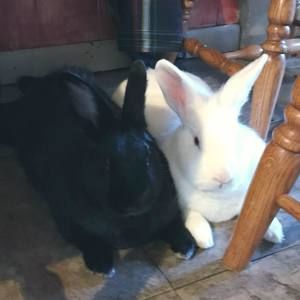 Meet your Posher, Cathy